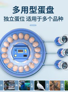 全自动孵蛋器智能鹅化机家孵用鸡小型孵化UPH箱鸭孵化器