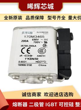 170M3015 170M3016 型号齐全电子 元器件现货低压快速熔断器