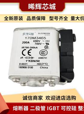 170M3142 170M3143库存充足现货低压快速熔断器标准封装