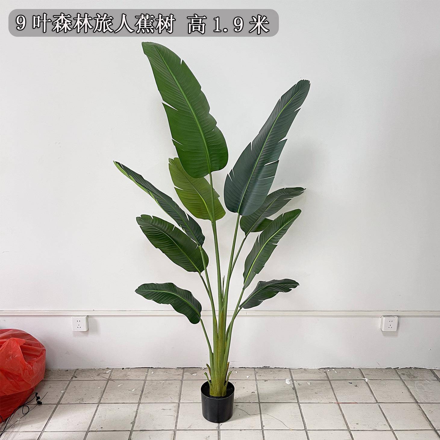 大型绿植旅人蕉芭蕉设树龟背竹落地室内橱植物006584角计绿造景仿