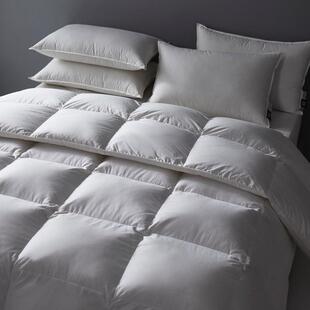 卢布林1全棉至臻鹅绒被冬季 加厚保暖裸睡双人春秋被轻柔静音