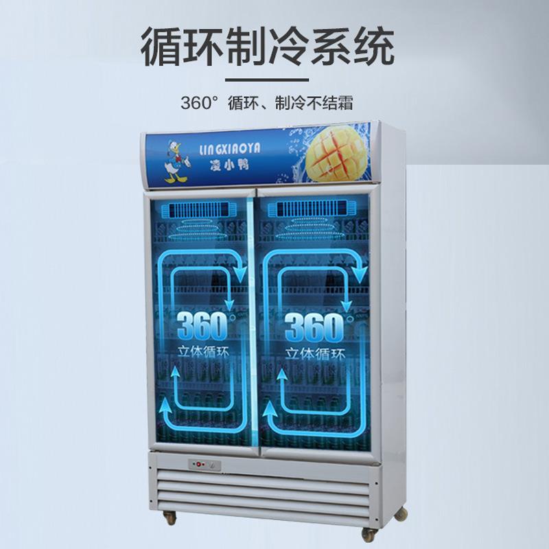 藏展示柜单门饮柜商冷用108双开门保式鲜柜立三门啤酒冰料柜冰箱
