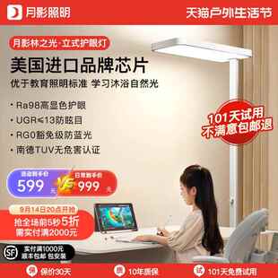 月影林之光护眼大路灯儿童全光谱学习专用台灯桌面钢琴立式落地灯