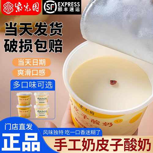 新疆包邮老北京奶皮子酸奶特产食品原味茉莉抹茶顺丰包邮