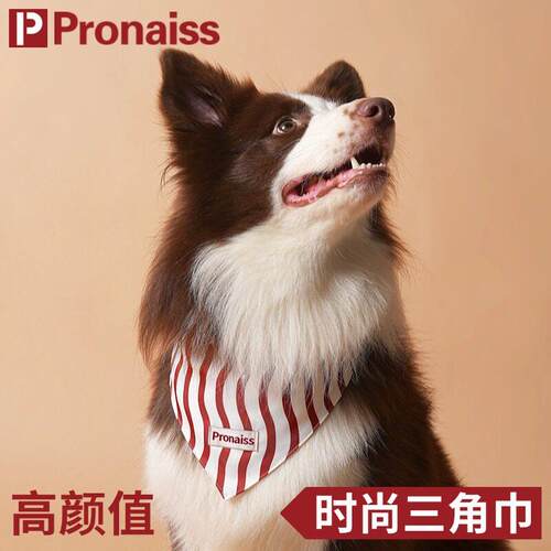 宠物网红围巾猫咪围脖狗狗三角巾小型犬拍照饰品口水巾万圣节项圈