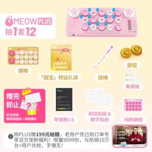 高档ub乐yfucn钢口袋音键盘PLUS猫爪礼物儿童光遇琴玩具电子midi