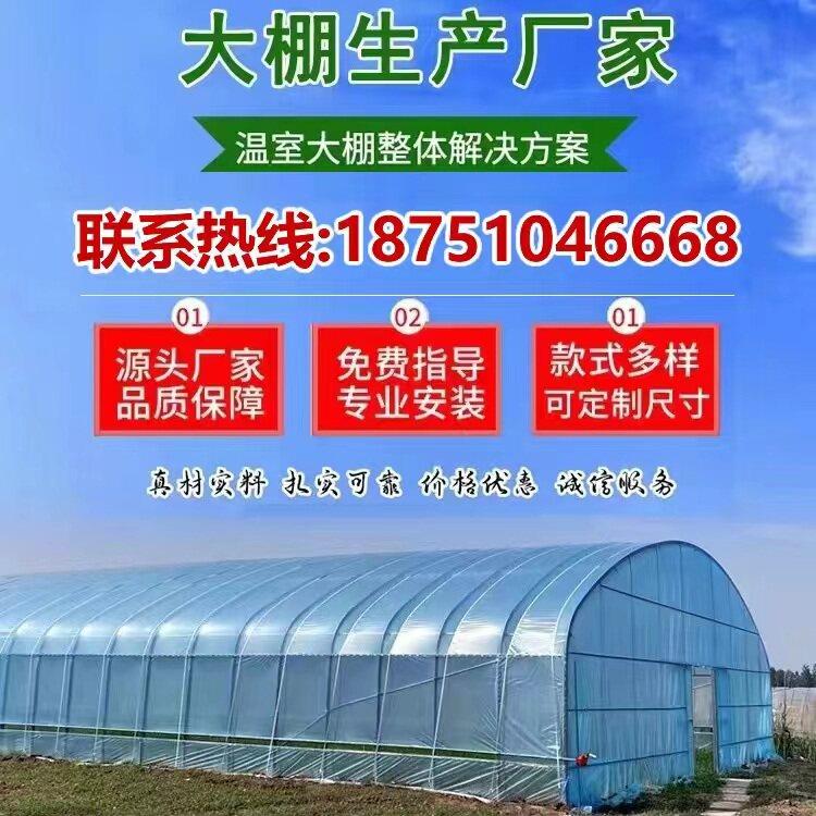 大棚钢管骨架蔬菜保温养殖种植简易塑料温室棚椭圆管连栋大棚定制