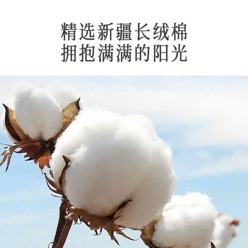 洁丽雅床上用品四件套冬季双面法兰绒水晶绒长绒棉床上用品三件套