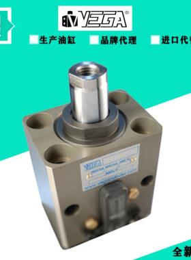 意大利VEGA 柱塞拉杆式方形液压缸CM040E0EG050液压油缸V250CE-10