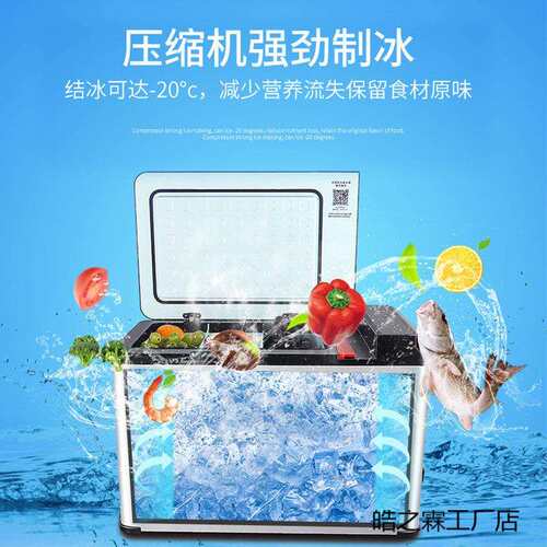 夏新2025新款车载冰箱12v24V通用大货车专用小型车家两用冷冻冰柜