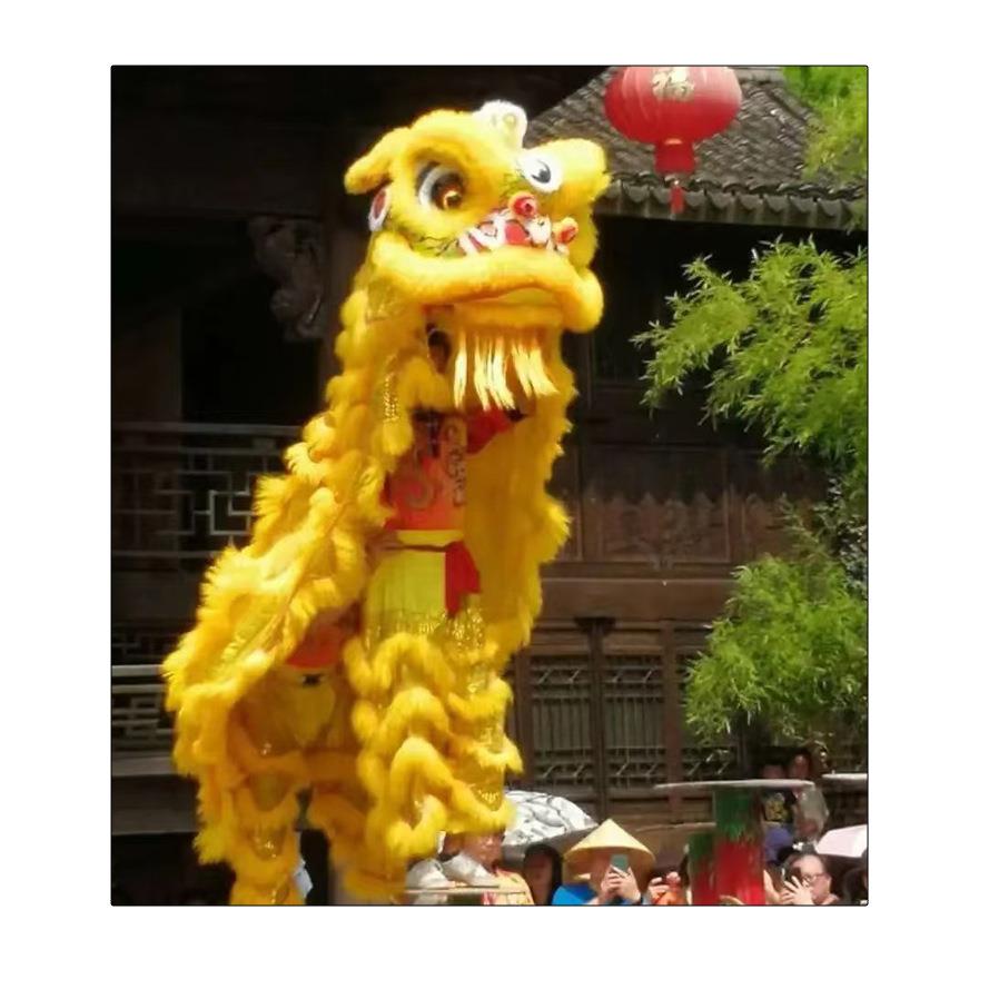 成人舞狮道具整套舞狮子佛山舞狮南狮醒狮头全套双人单人醒狮用品
