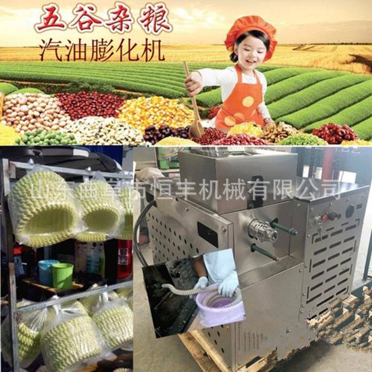 大米玉米膨化机 家用爆米花机厂家直销五谷杂粮新型切管膨化机
