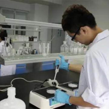 2,6-二叔丁基对甲酚 源头工厂工业级分析满意的服务99%含量江苏