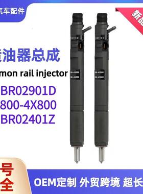 EJBR02901D共轨喷油器33800-4X800适用于现代 Terracan喷油嘴