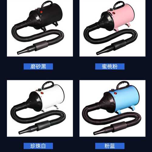 厂家直供宠物吹毛智能烘干机宠物店狗狗吹水机洗澡速干吹风机