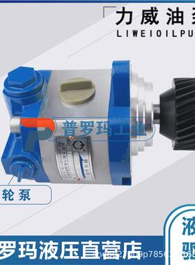 发动机25顿吊车QC25/15-ISLEA合肥力威液压助力液压油泵