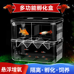 孔雀繁殖斗鱼鱼缸鱼缸隔离孵化器