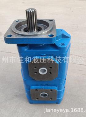 船用齿轮泵GPP1-AOC40AHN50A1R-113-991-0船舶齿轮泵