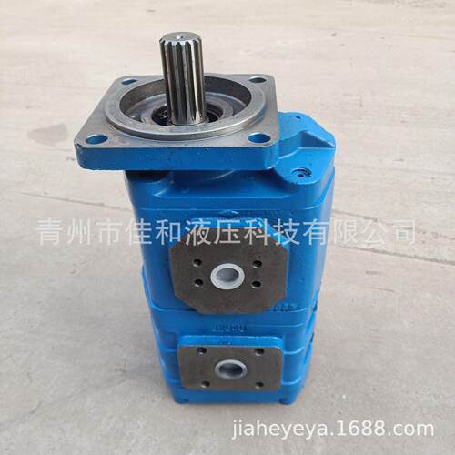 船用齿轮泵GPP1-AOC40AHN50A1R-113-991-0船舶齿轮泵