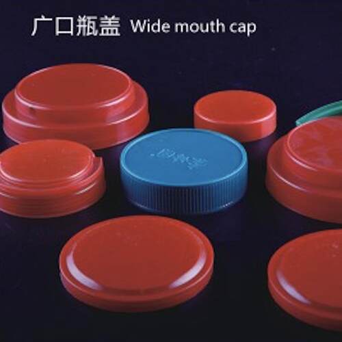 48mm防盗瓶盖模具 塑料盖模具 注塑盖模 PP PE