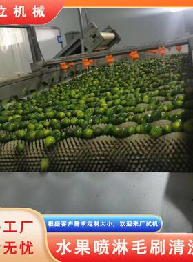 喷淋毛刷式地AAU瓜土豆萝清洗连续式白卜萝卜去泥机胡洗萝机卜清
