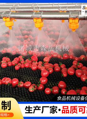 圣女果黄皮果清洗机304不锈钢水果气泡清洗机果脯毛刷洗果机厂家
