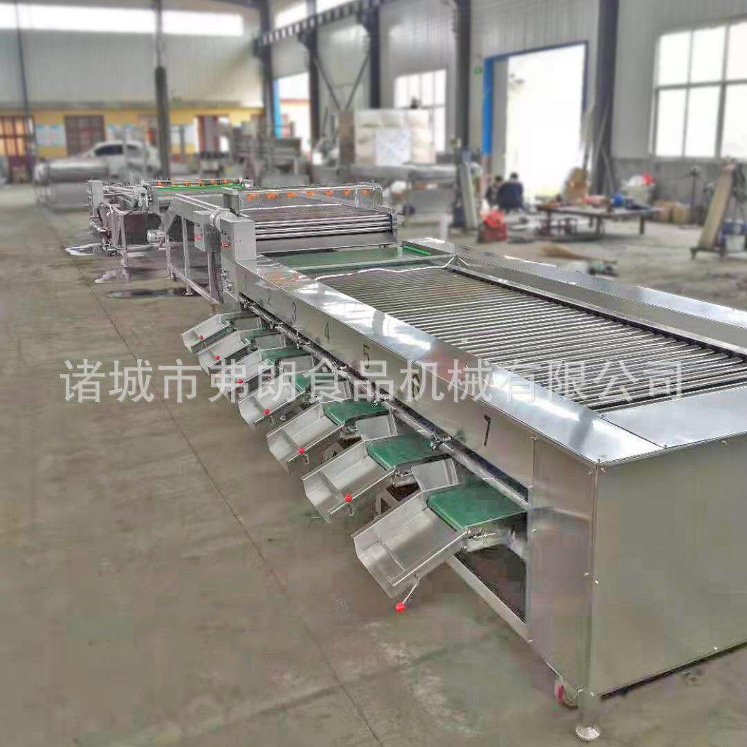 龙眼杨梅清洗风干分级成套设备厂家水果分级机滚杠青柠檬分级机