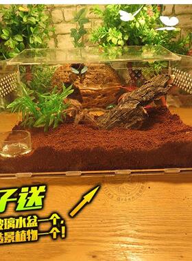 宠物饲养盒亚力爬虫箱蜘蛛蜥蜴5守宫角30X20X15蛙蛇蟒克虫甲30201