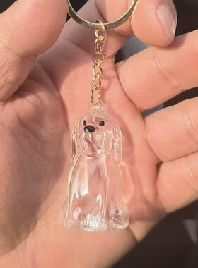 爆款创意猫毛收纳挂件宠物毛发纪念收纳盒雪纳瑞亚克力新款小兔子