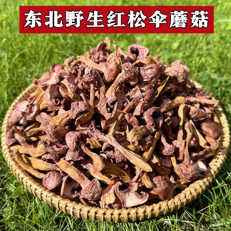 东北野生红蘑菇松树伞蘑菇丁干 干货松蘑鸡血蘑肉蘑菌菇煲汤特产