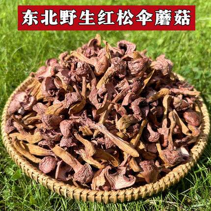 东北野生红蘑菇松树伞蘑菇丁干 干货松蘑鸡血蘑肉蘑菌菇煲汤特产