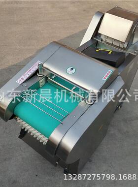 2000型变频调速切丁机鱿鱼干墨鱼切丝机香菇切丁切块机