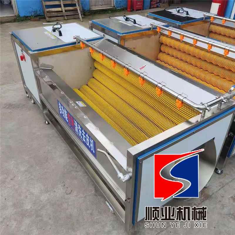 商用大枣平行毛刷清洗机红薯土豆清洗去皮机平行毛辊去皮清洗机