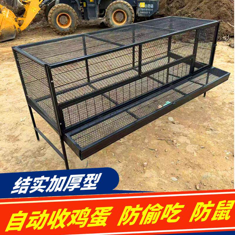 鸡笼子家用室外铁丝网特大号防黄鼠狼防鼠防雨下蛋笼子新型养殖笼