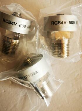 IBS安全阀RCB4V-600 304