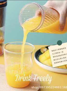 便携式榨汁机家用多功能小型水果电动榨汁杯迷你炸果机果汁机
