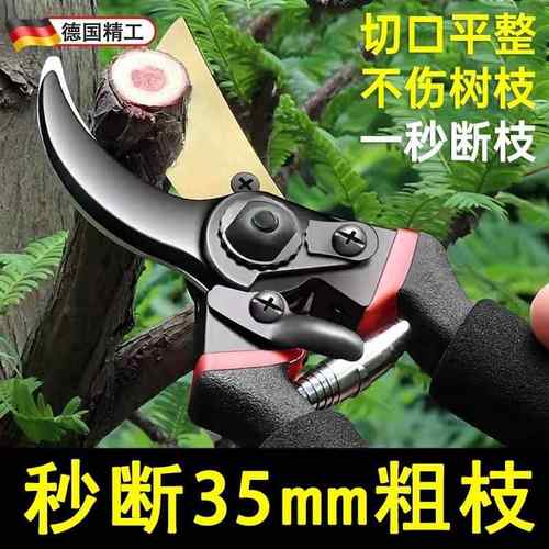 德国精工艺园剪刀剪树枝专用剪刀修枝剪园林果树修花家用粗枝剪子