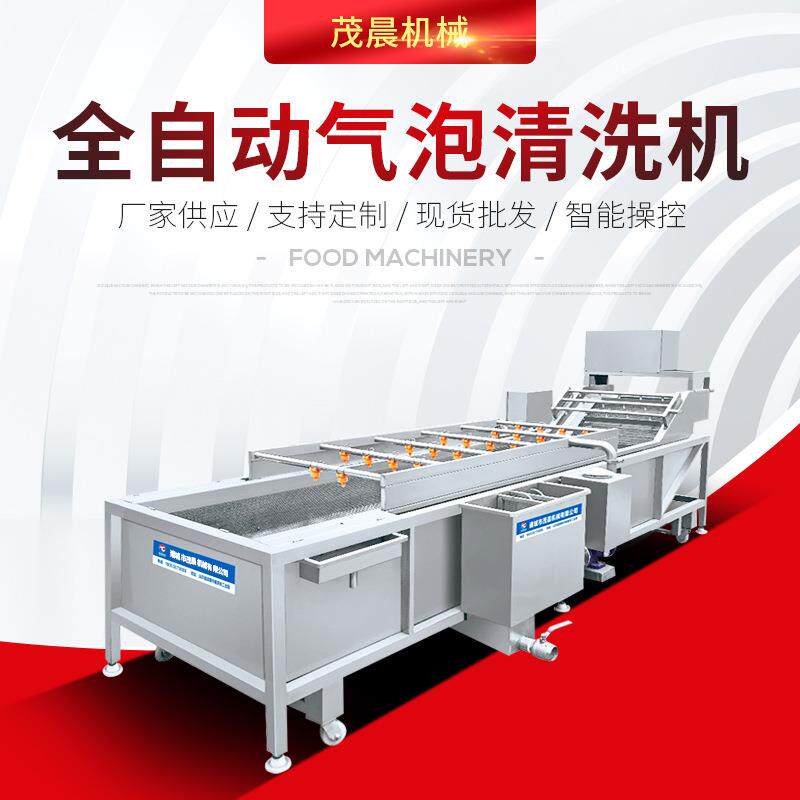 厂家供应海南水果清洗机 全自动芒果清洗机 椰子鼓泡喷淋清洗机