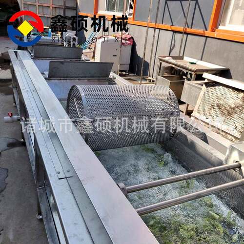 气泡清洗机全自动大枣喷淋清洗设备商用臭氧去农残秋葵清洗机