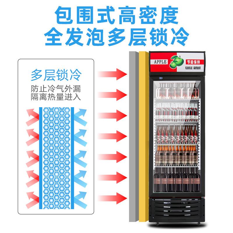 展示柜冷藏保鲜饮料商用冰箱立式陈列单门冷饮冰柜超市啤酒柜