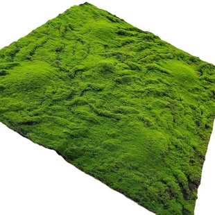 软装仿真绿植青苔造景植物布置苔藓块微景观盆景造景装饰材料草坪