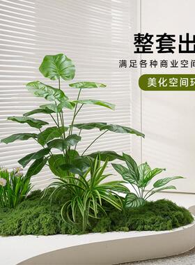 室内彷真绿色植物景观服装店橱窗彷生植物造景组合庭院布置商场装