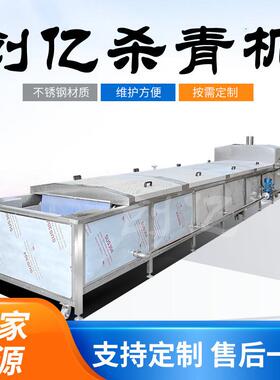 蔬菜杀青机定制水果片油麦菜漂烫加工设备中草焯水设备