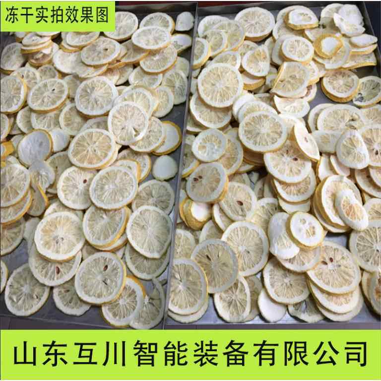 源头厂家真空冻干机柠檬香蕉果蔬冷冻干燥机大型干燥冻干设备