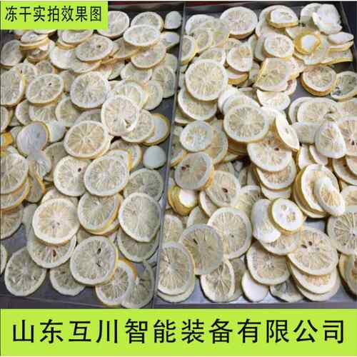 源头厂家真空冻干机柠檬香蕉果蔬冷冻干燥机大型干燥冻干设备