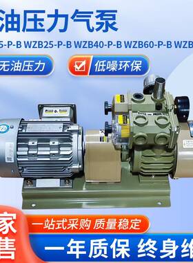WZB-P-B无油压力气泵小型工业用电动真空泵自润滑印刷机传输泵