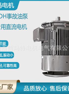 西安电机ZDH06-1313wB3油田油井H级事故油泵用直流电动机