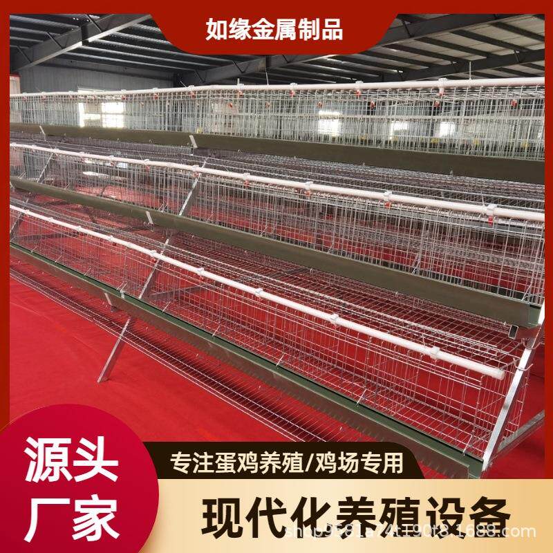 阶梯式四层五门蛋鸡笼绿槽喂食大型禽类养殖场自动养殖蛋鸡笼