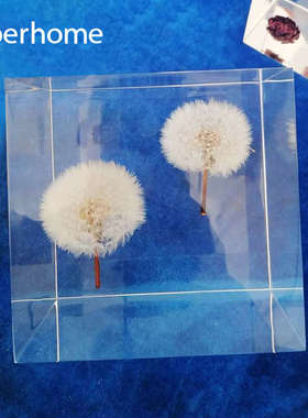 样板间轻奢摆件装饰品透明植物水晶10cm12cm方块客厅书柜电视柜