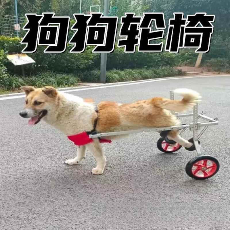 支架狗狗大宠物辅助泰迪小型犬后肢残疾代步车狗瘫痪猫轮椅后腿狗